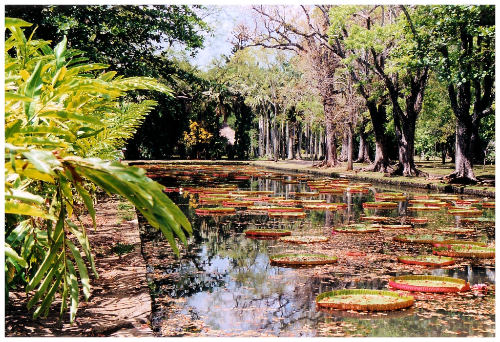 01 - Ile Maurice (1).jpg